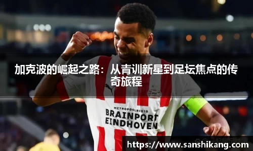 tyc122cc太阳成集团